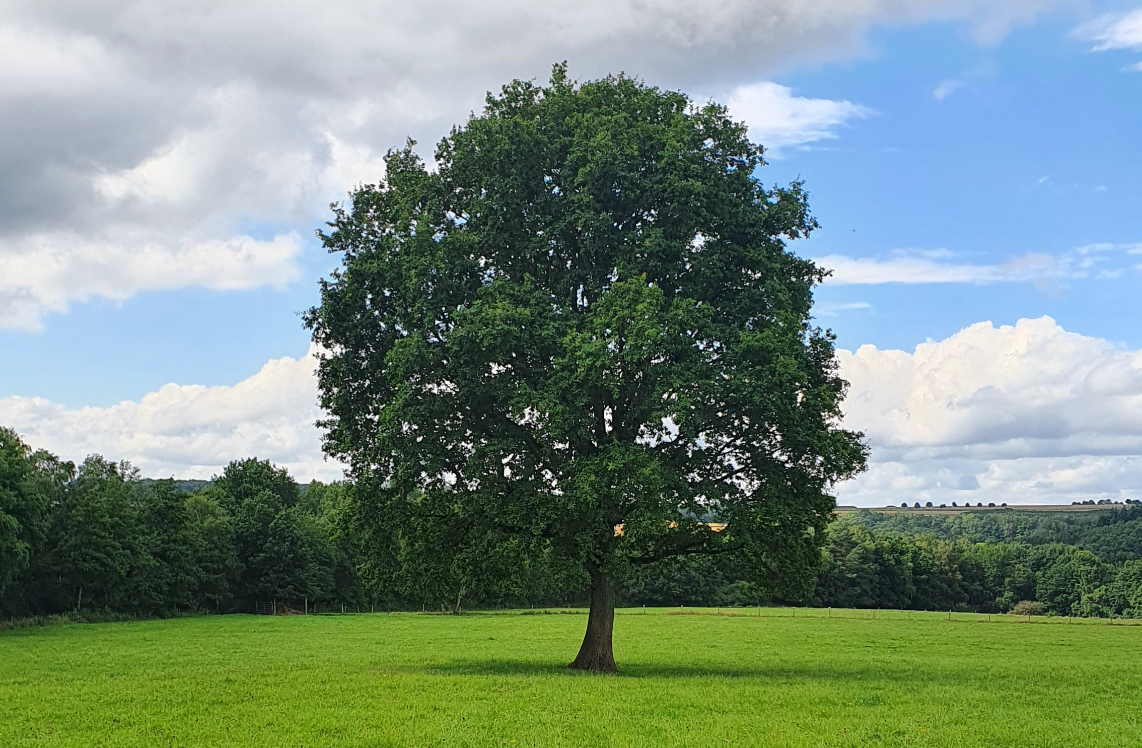 Der Spätsommer kehrt zurück!