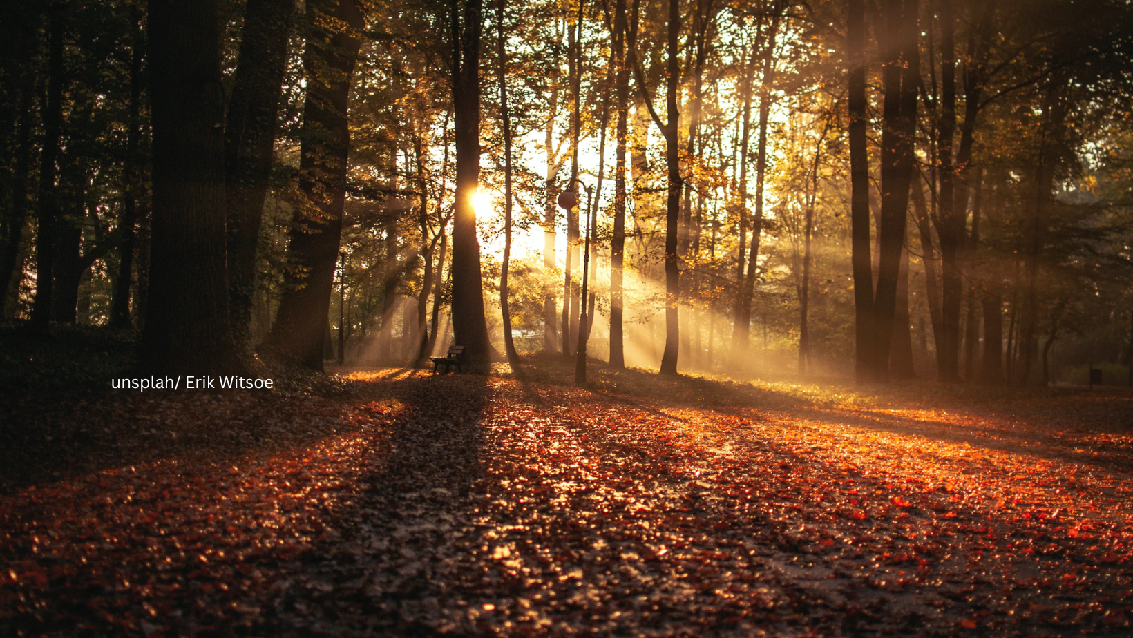 Milder Herbsttag mit Sonne und Nebelfeldern