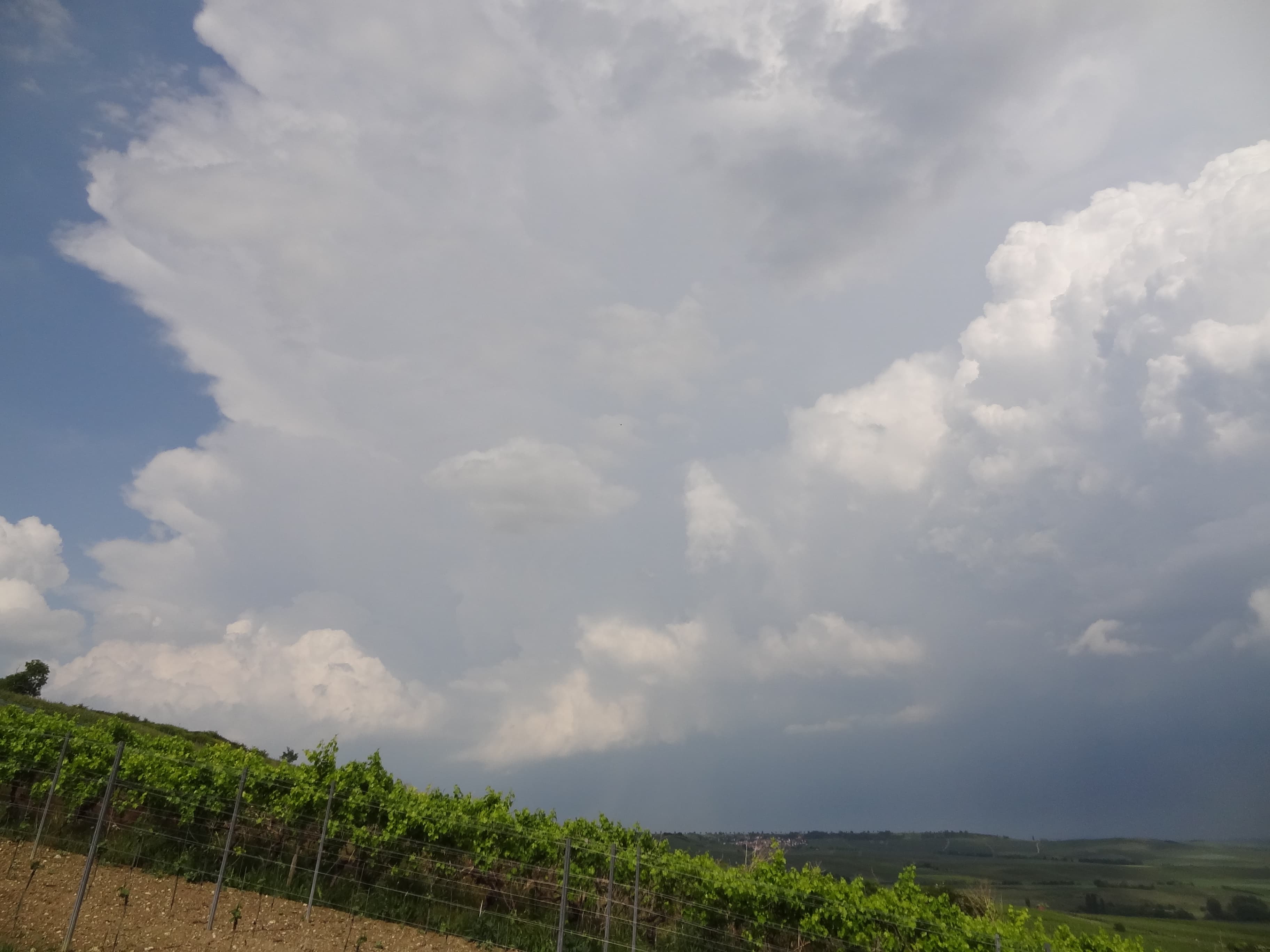Schwül und immer mehr Hitzegewitter