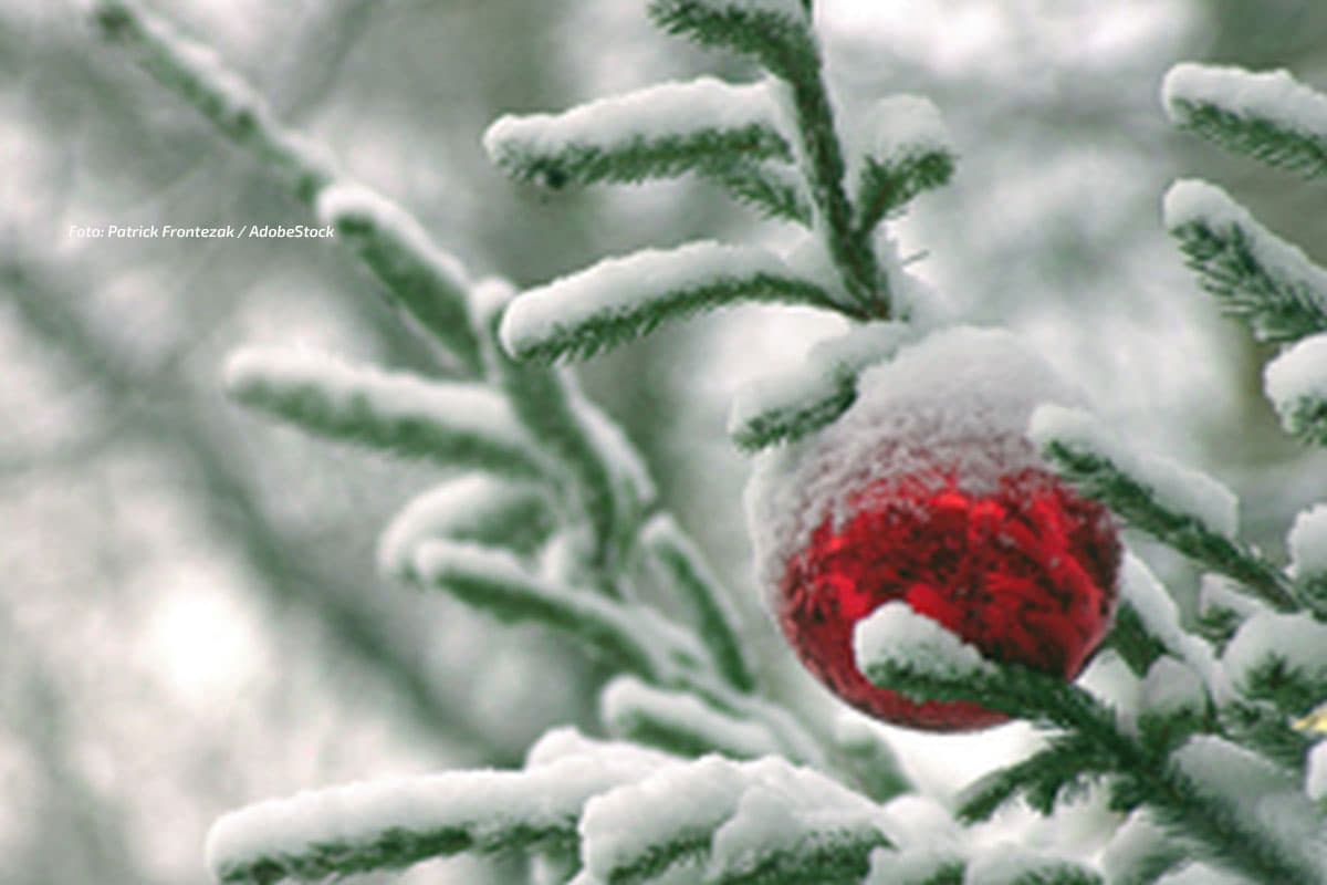 Wintereinbruch zum ersten Advent  was ist dran?
