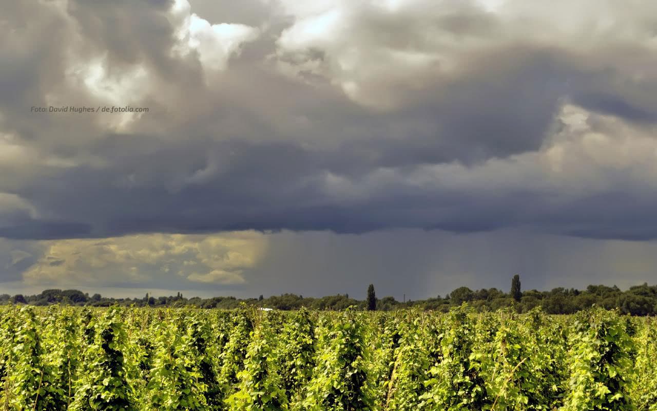 Unbeständiges Wetter mit Donnergrollen