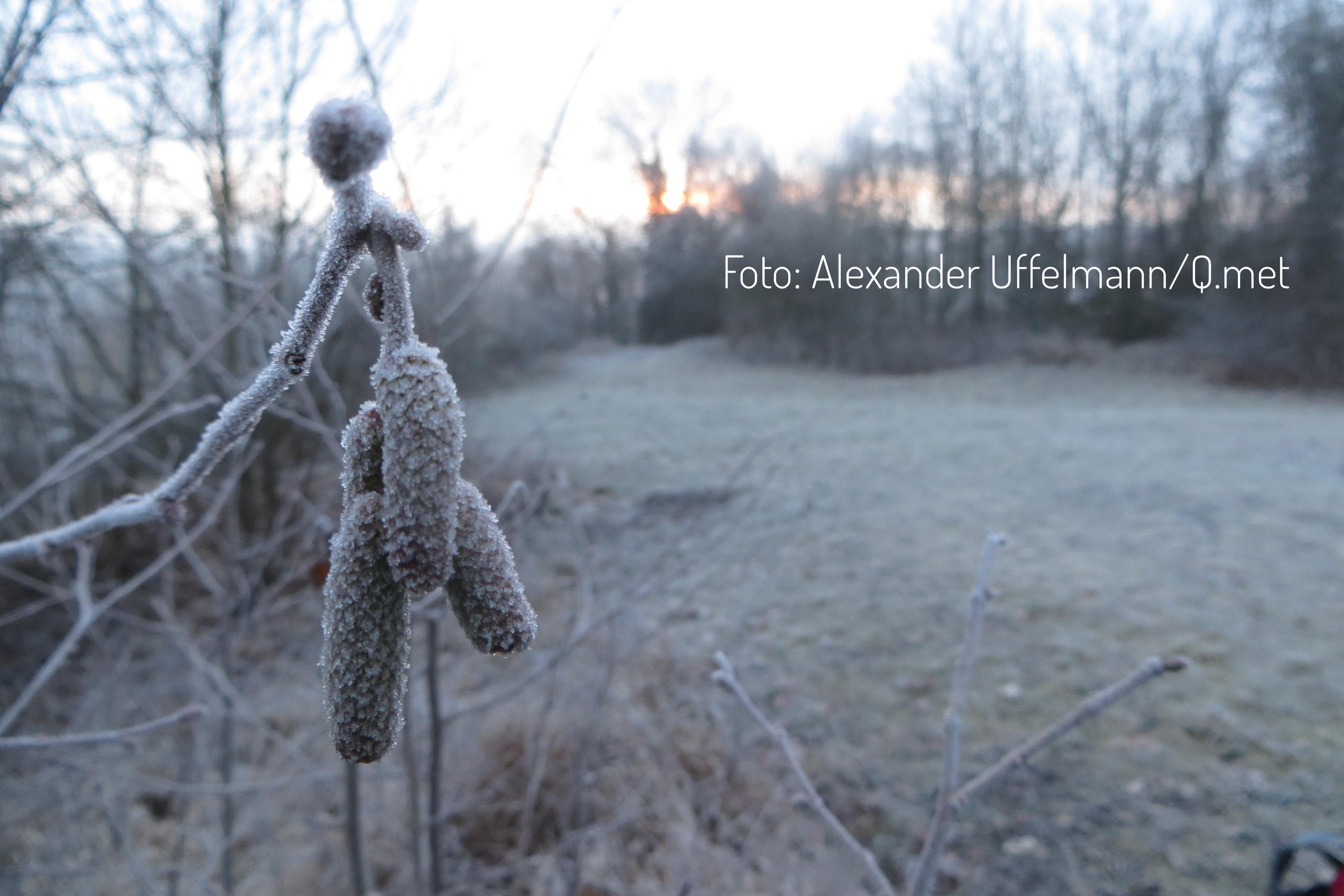 Wetter News Bild: Frostgefahr! Wo wird es am kältesten?