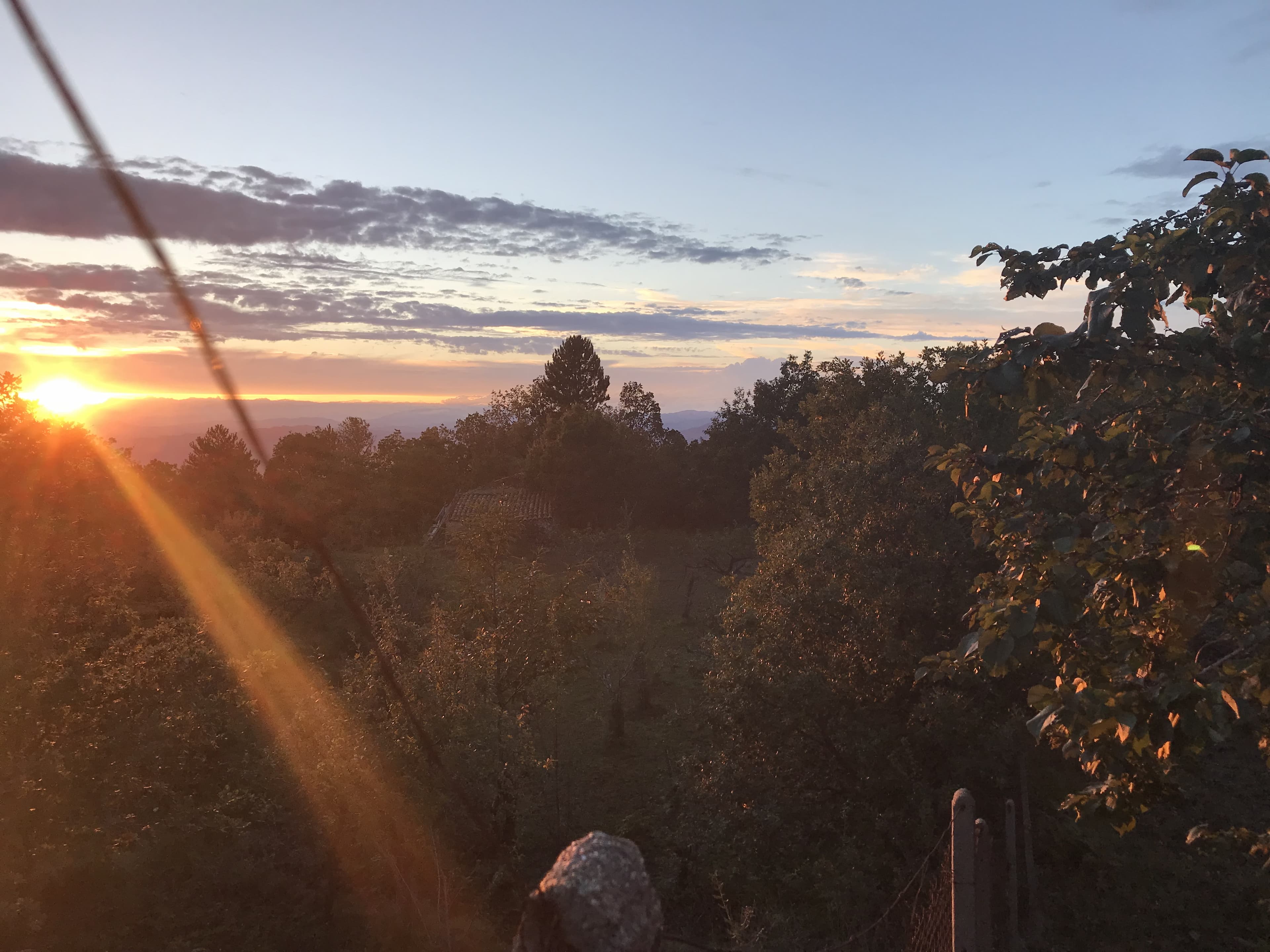Wochenendwetter in Deutschland  Sonniges Herbstwetter und 20 Grad  aber nicht für jedermann 