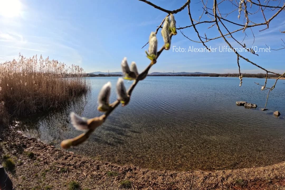 Neue Woche mit deutlich mehr Sonnenschein! Vorher nochmal Schnee?