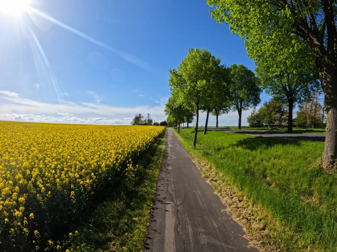 Kommt bald das nächste Frühlingshoch? April endet sonnig und warm!