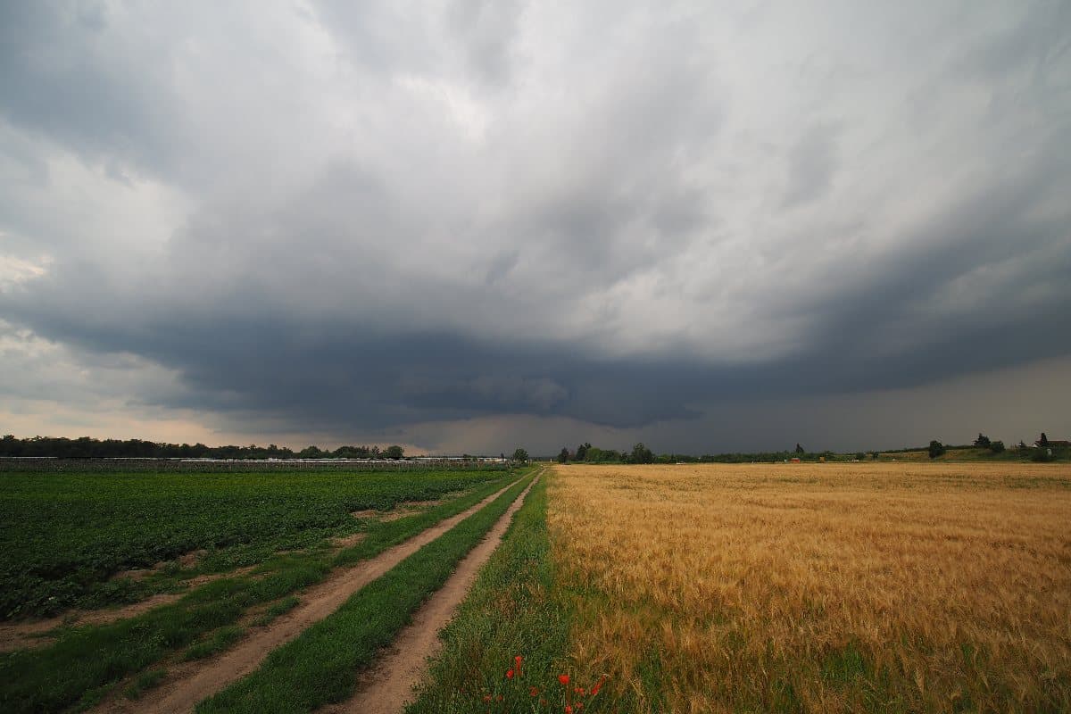 Die große Sommerbilanz