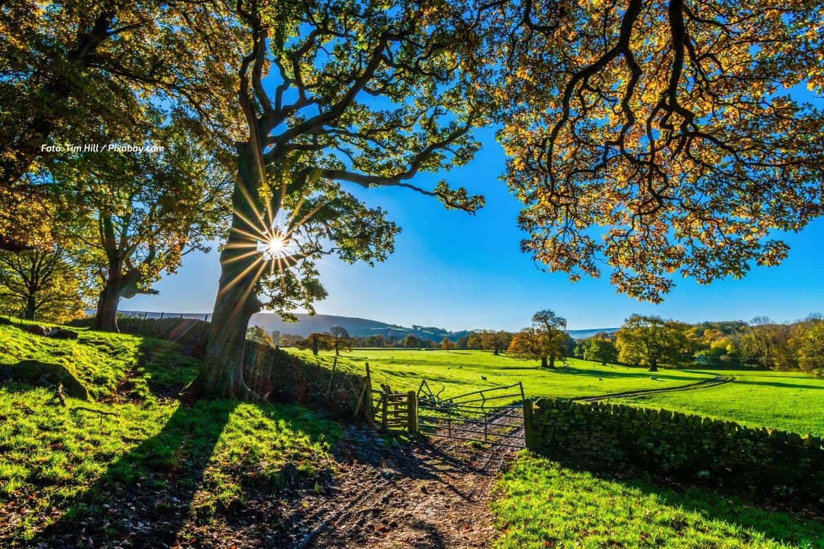 Sonniges Wochenende steht bevor