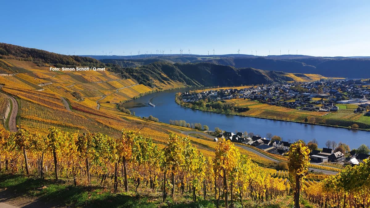 Der Wochenausblick - Martinisommer