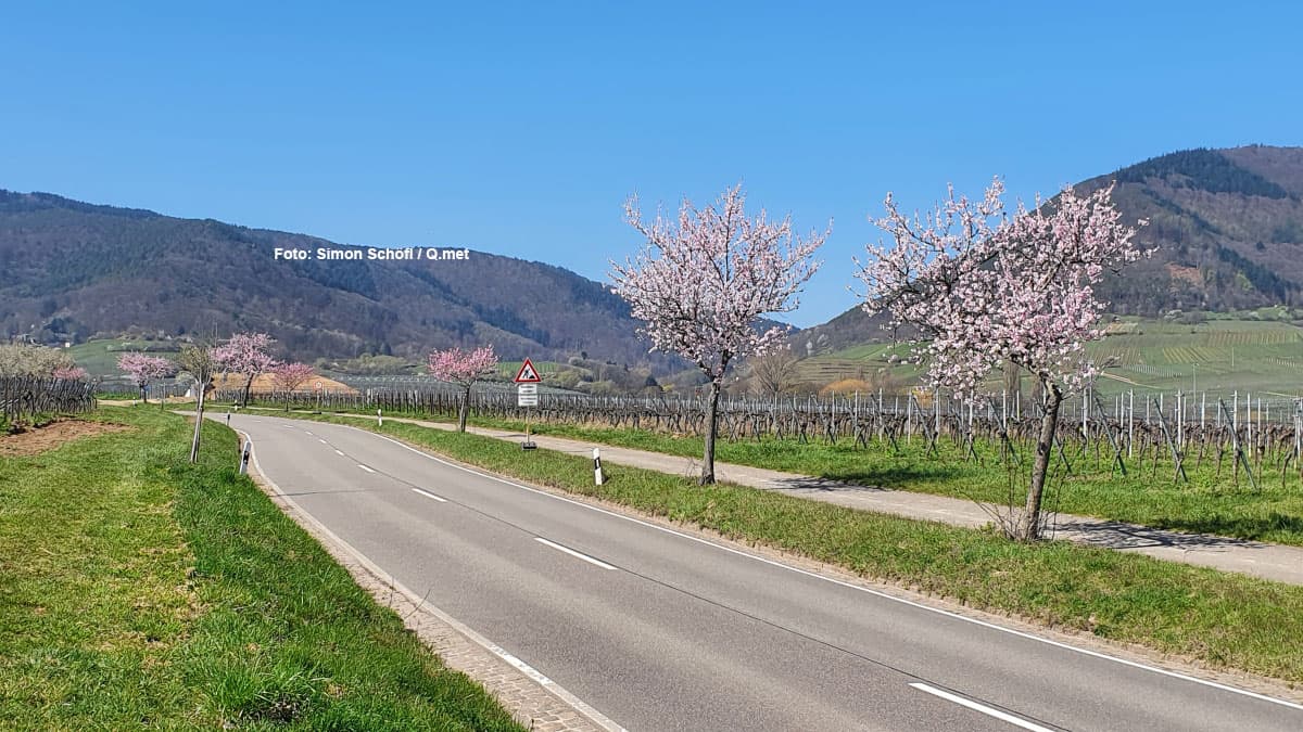 Heute fast 20 Grad