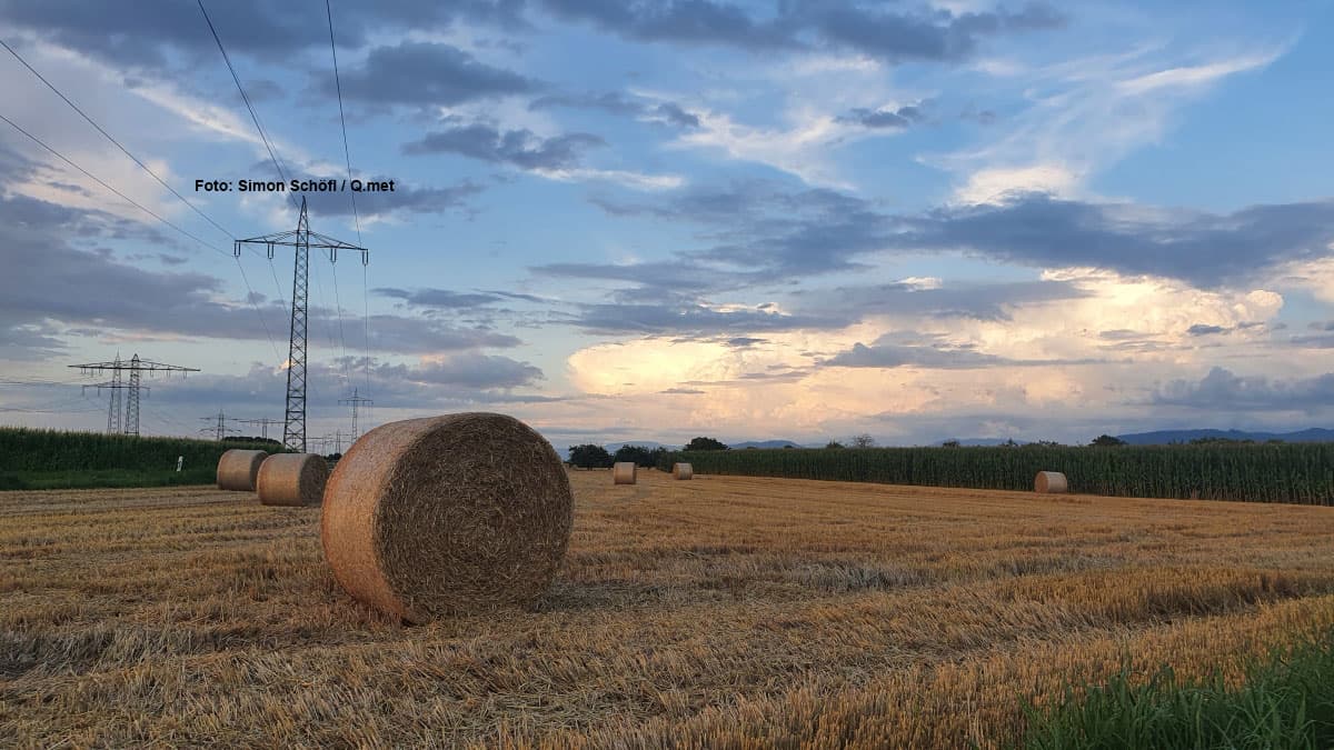 Kühle Nacht steht bevor!