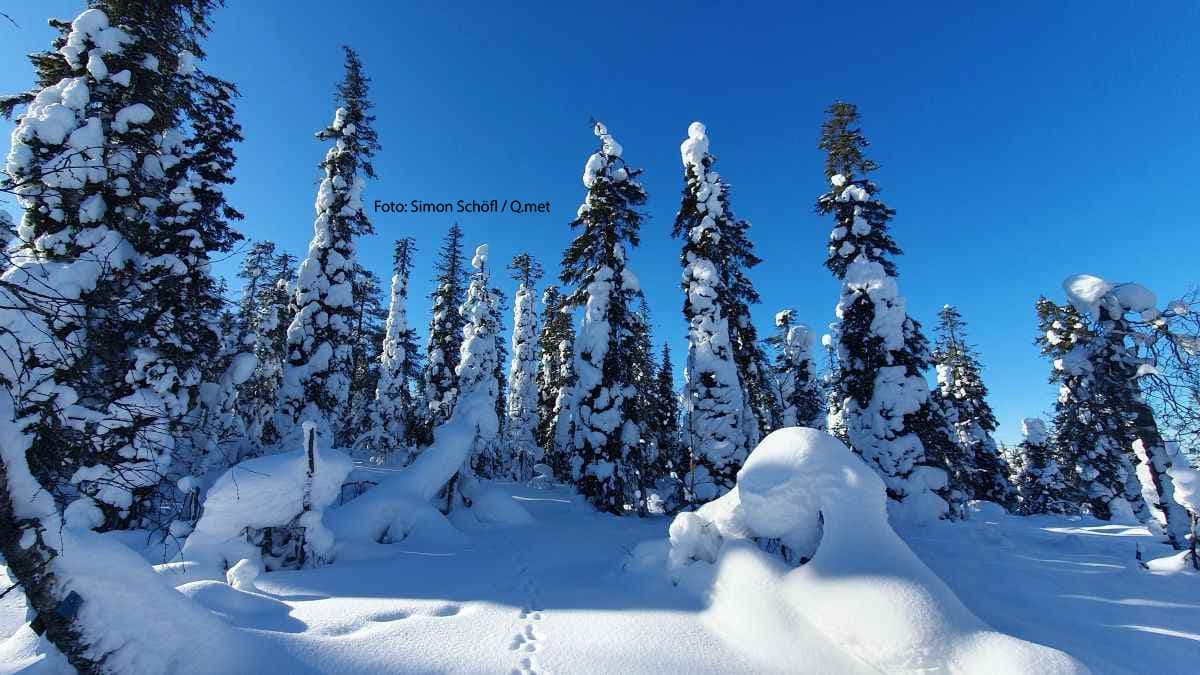 Bis zu einem halben Meter Neuschnee
