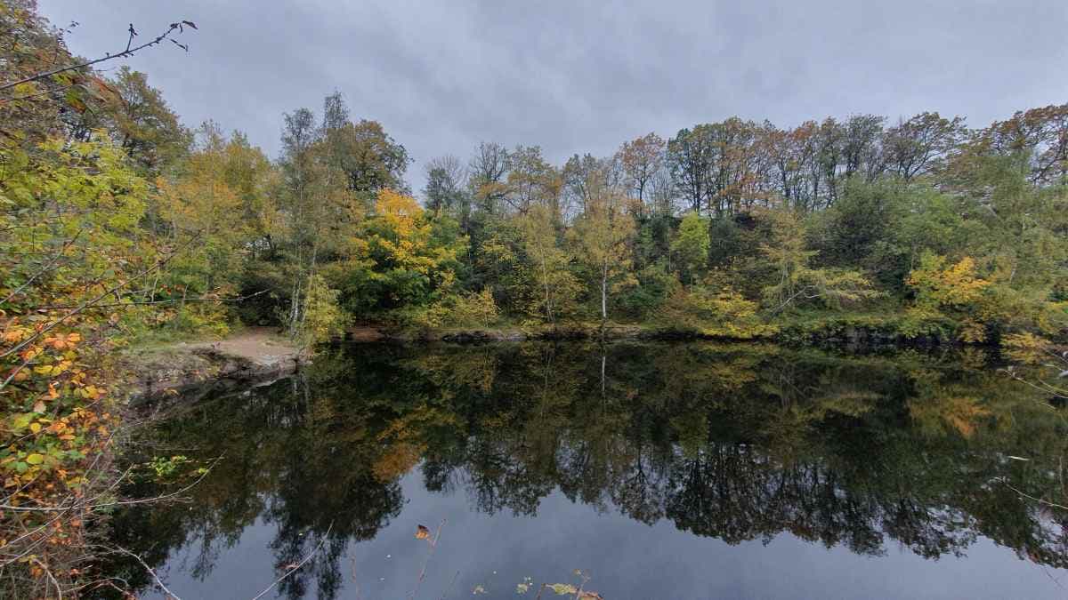 Wochenausblick: Nach Frühlingsluft wieder kühler