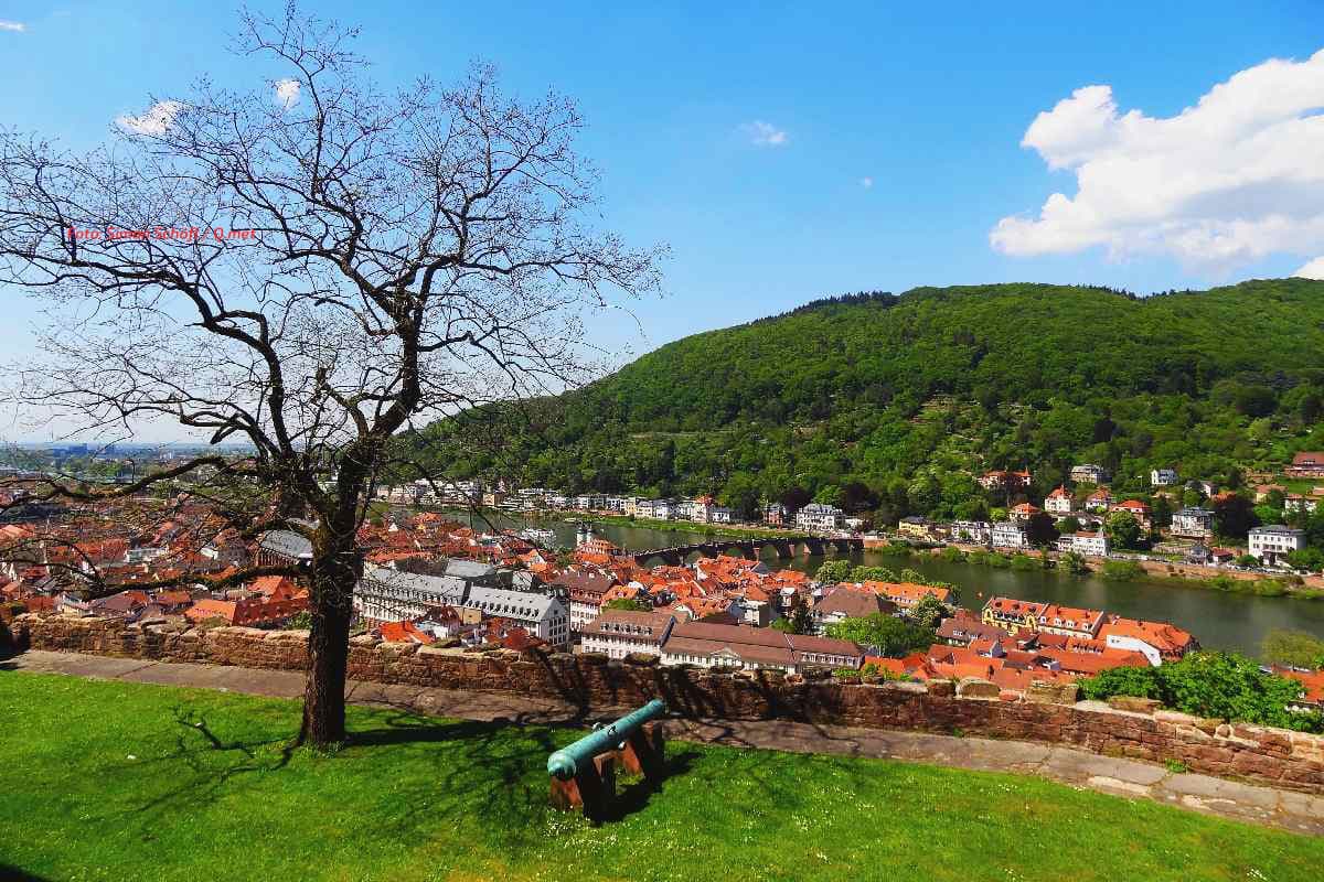 Erst zum Wochenende wieder Frühling?