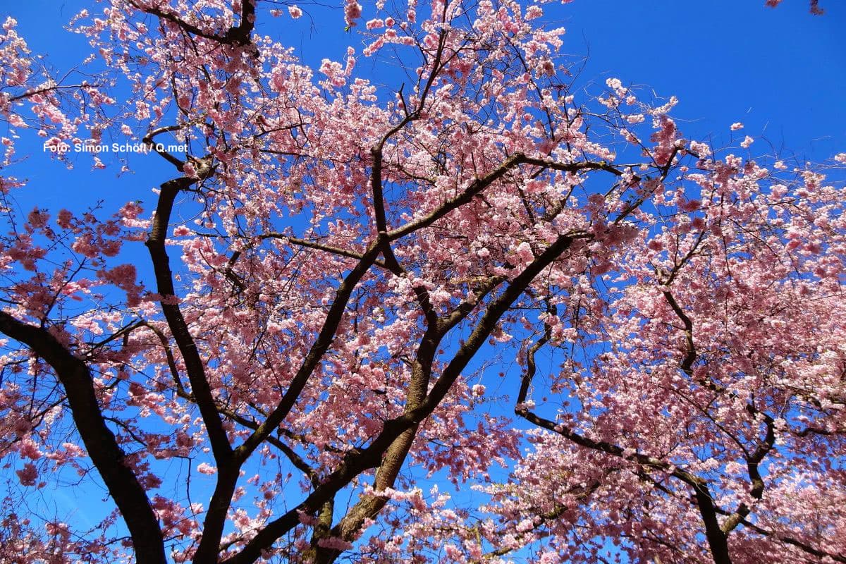 Erster Sommertag in diesem Jahr?