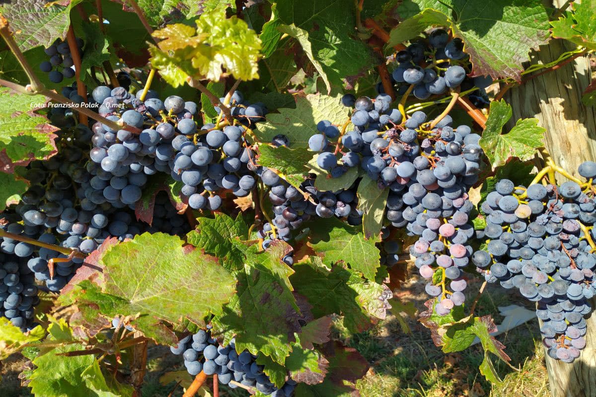Abkühlung, oder weiterhin mild?