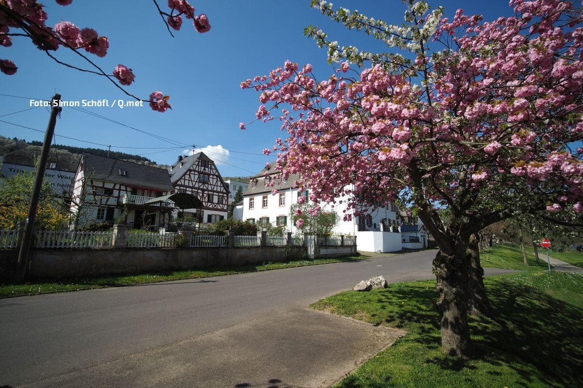 Auf Frühlingswetter folgt erneuter Temperatursturz!