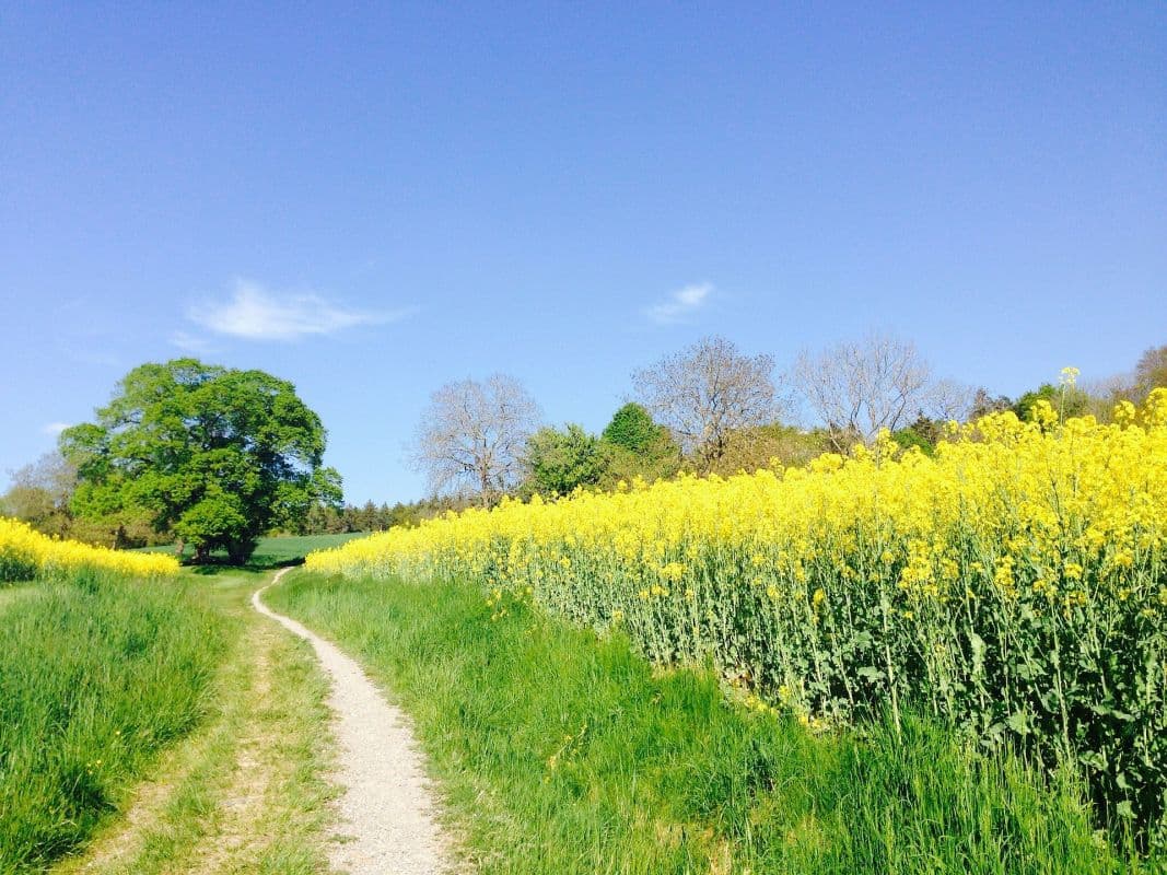Hoch Odilo bringt Sonnenschein und anhaltende Trockenheit