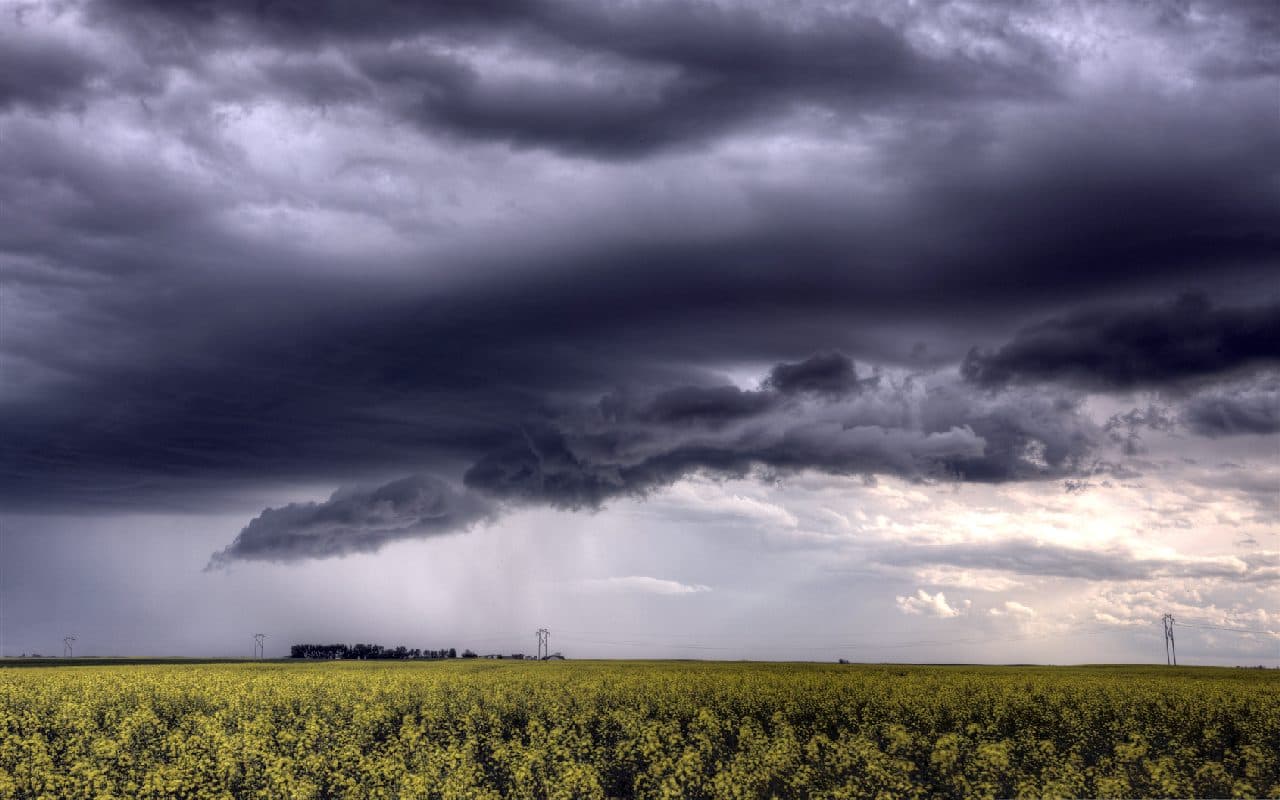 Lokal kräftige Regengüsse mit Sturmgefahr!
