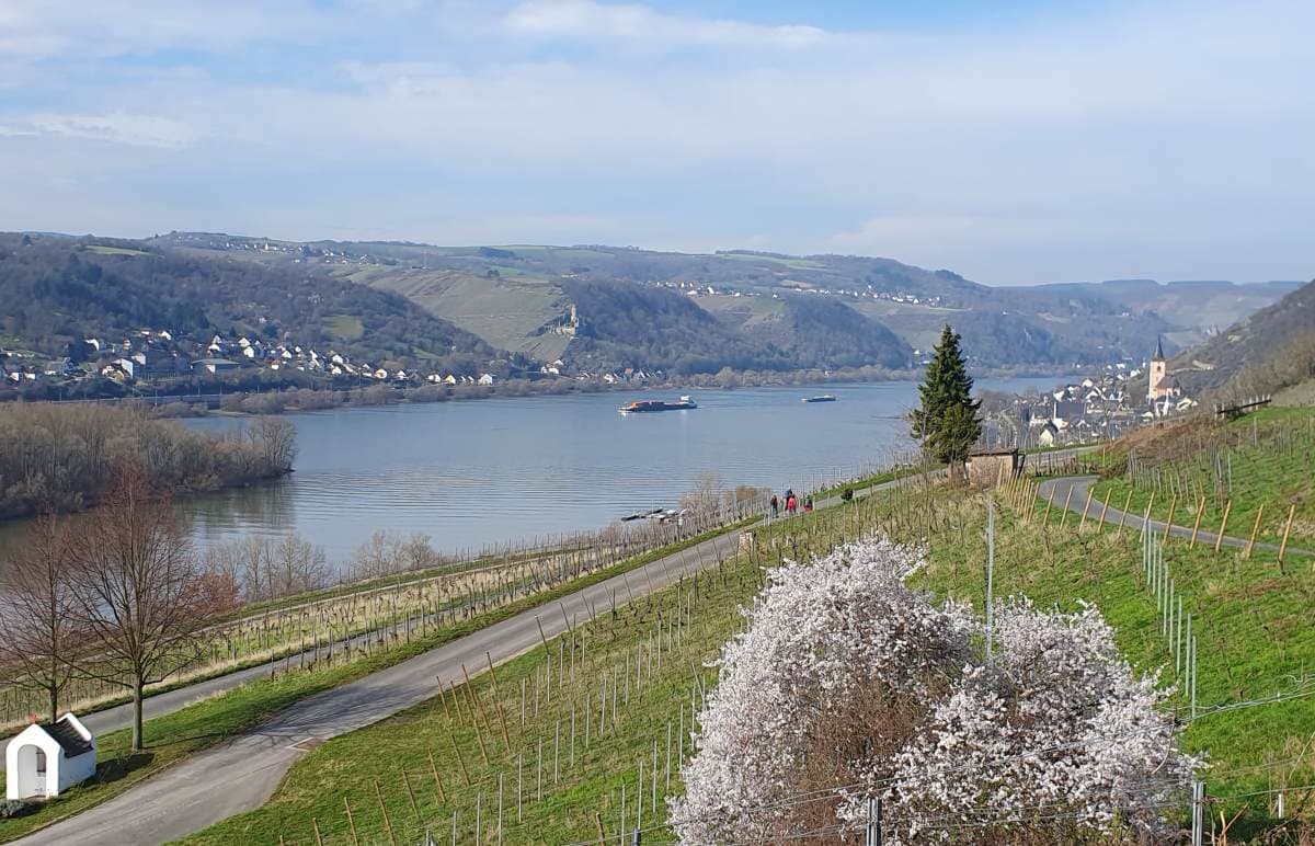 Temperaturen gehen zurück