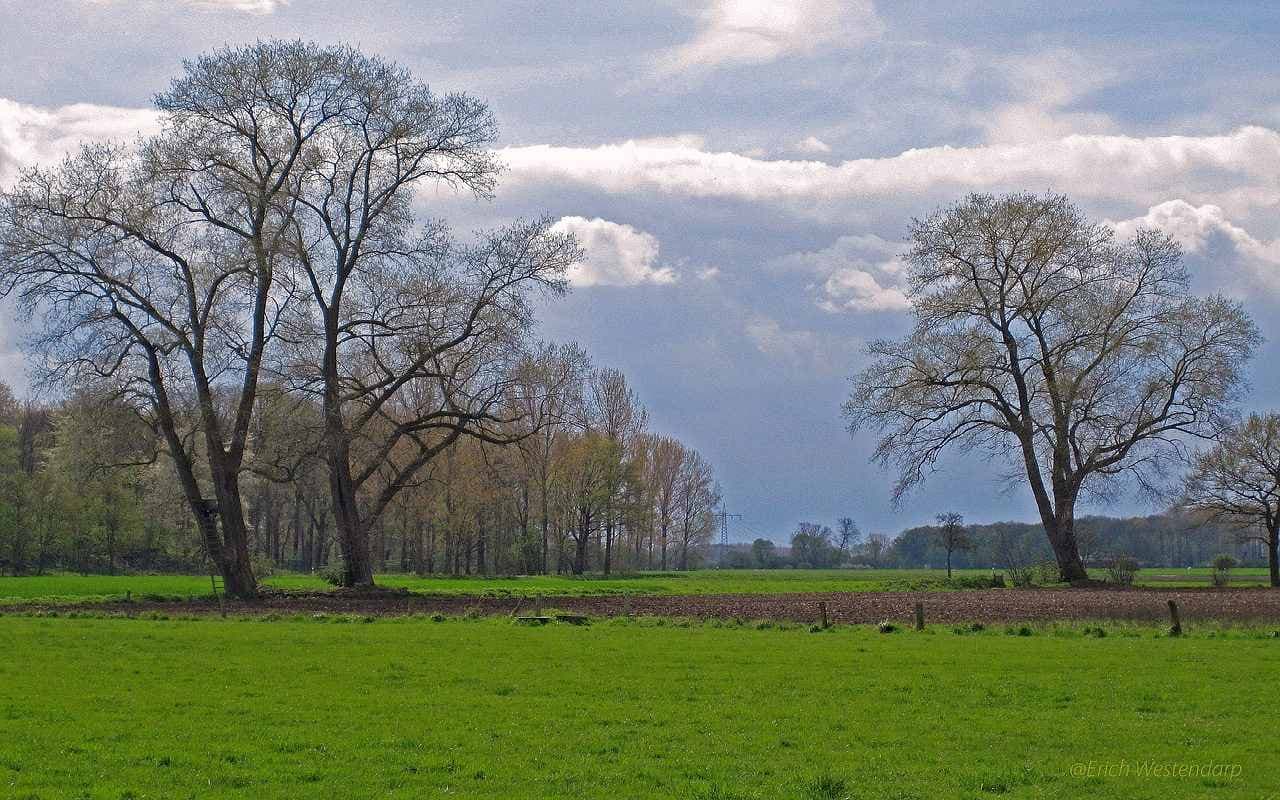  Höchstwerte erst ab Dienstag wieder einstellig 
