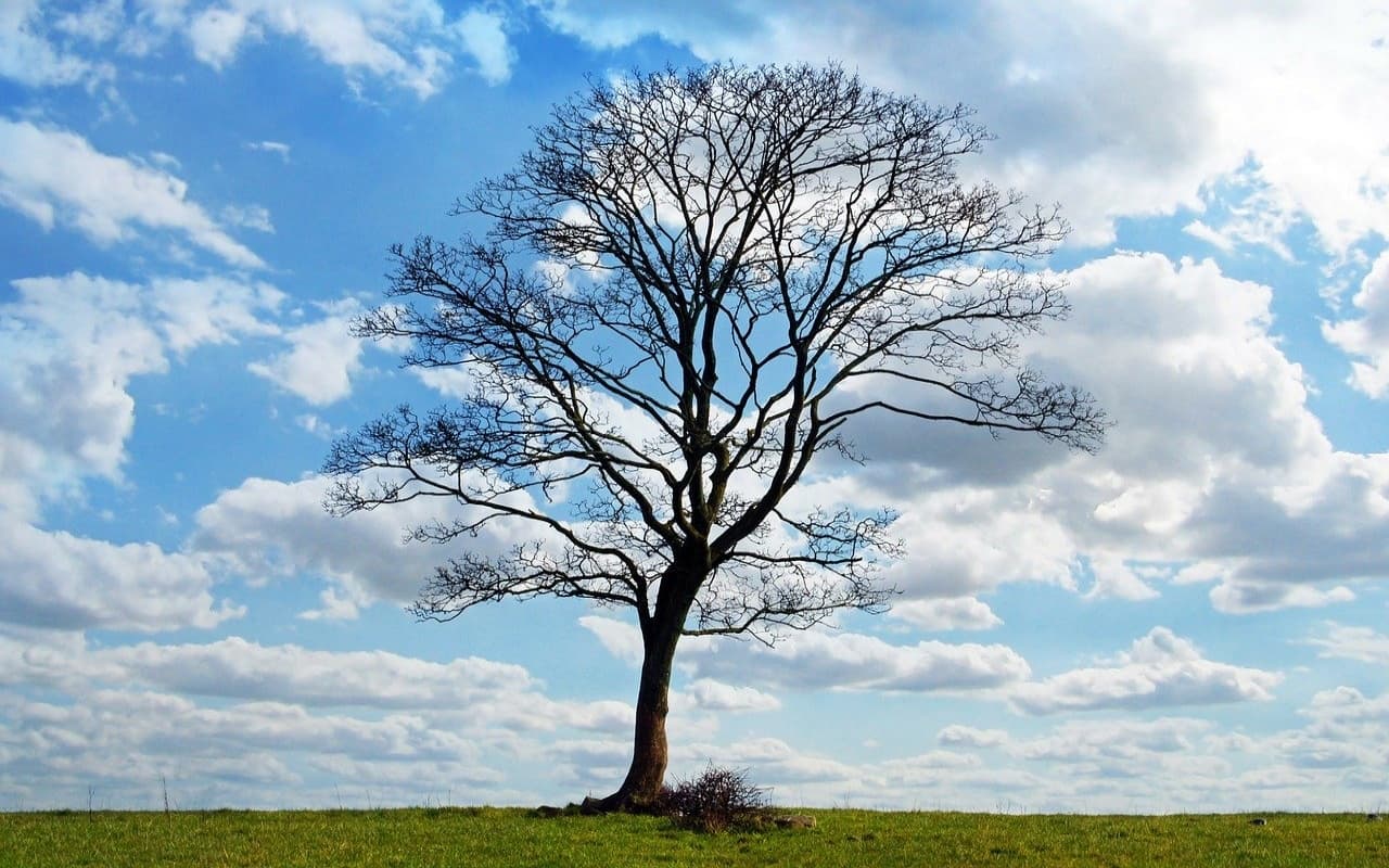 Frühling im Anmarsch: Was machen zur aktuellen Zeit