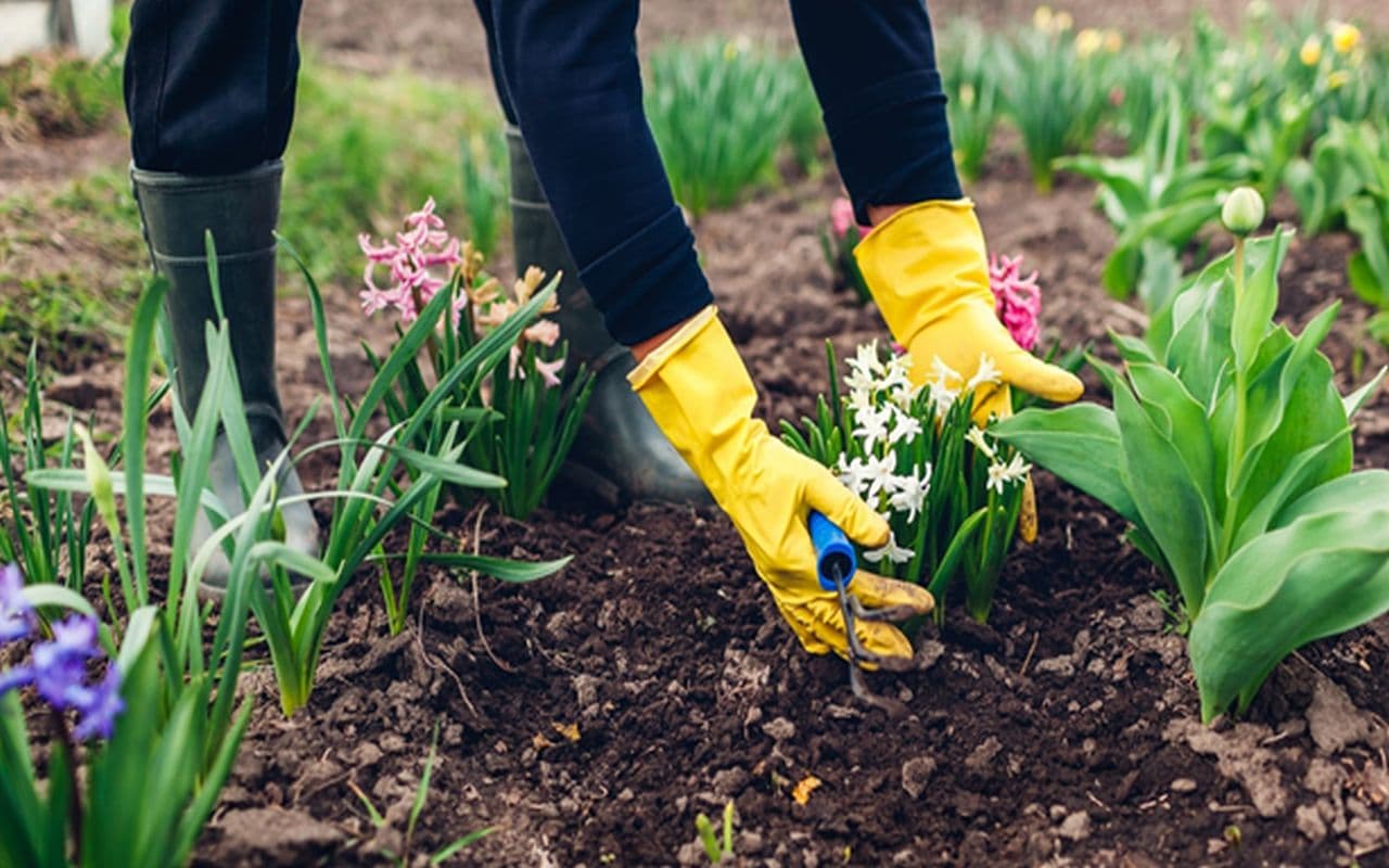 Der Frühling steht vor der Tür: Diese Arbeiten an Haus und Garten sind jetzt wichtig