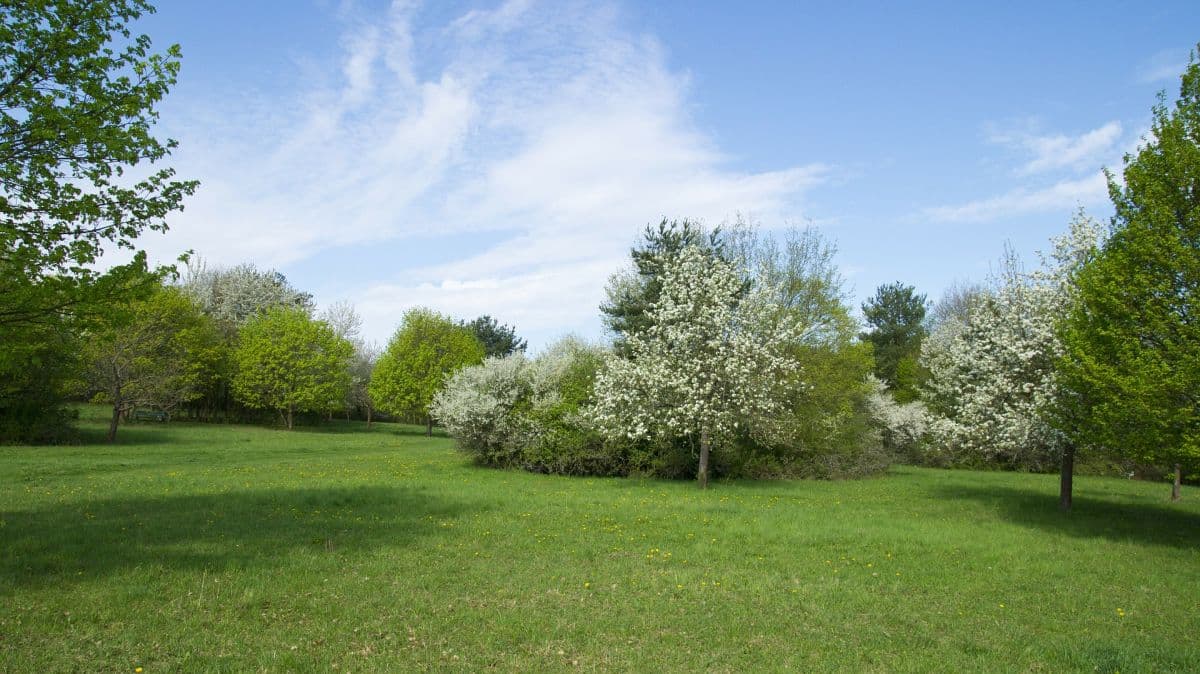 Beinahe frühsommerlich
