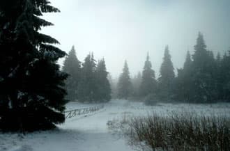 Schnee, Regen und Schneeregen