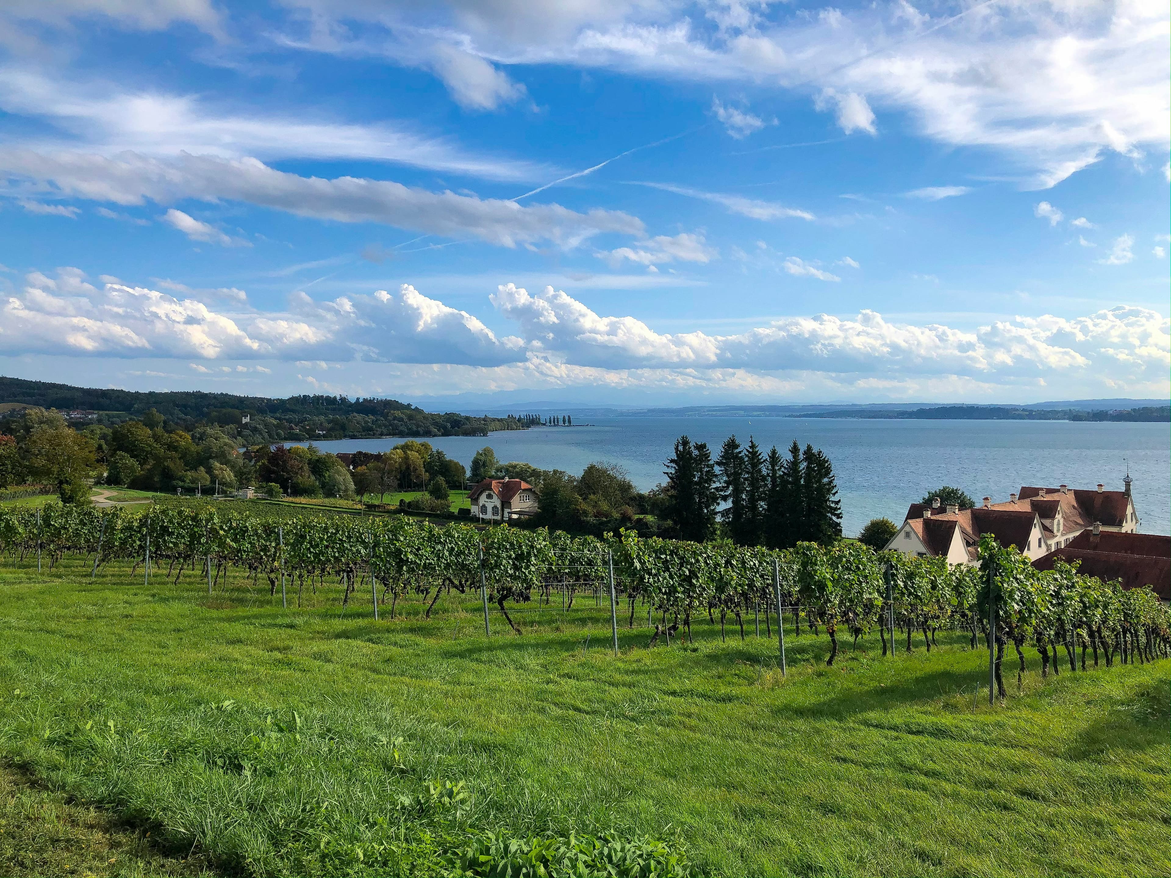 Bodensee: Hochwasserstufe erreicht!