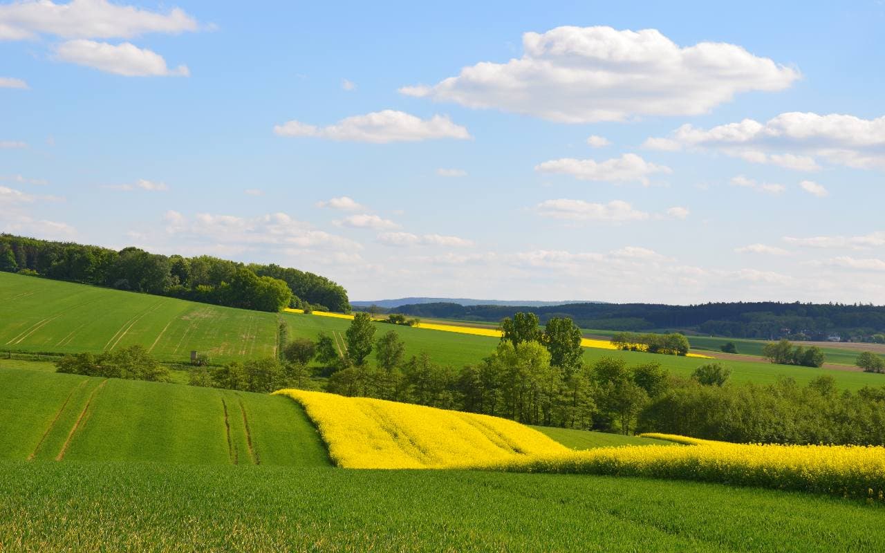 Frühsommer in den Startlöchern