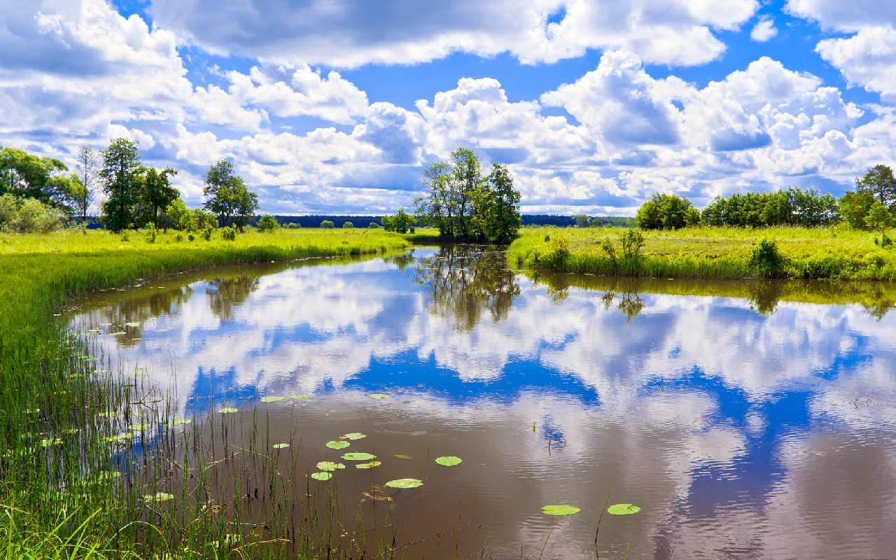 Sonnig, im Osten und Südosten wolkiger