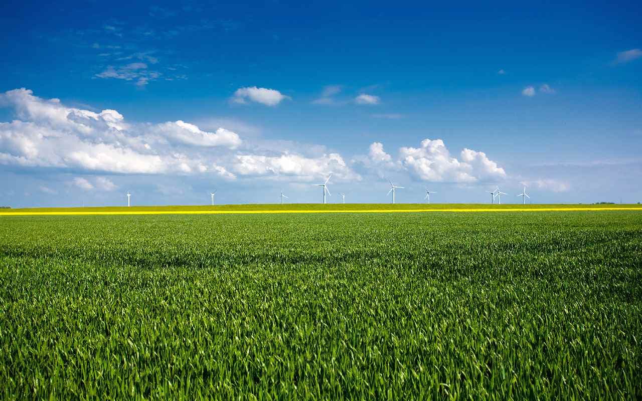 Sommerliches Rhein-Main-Gebiet
