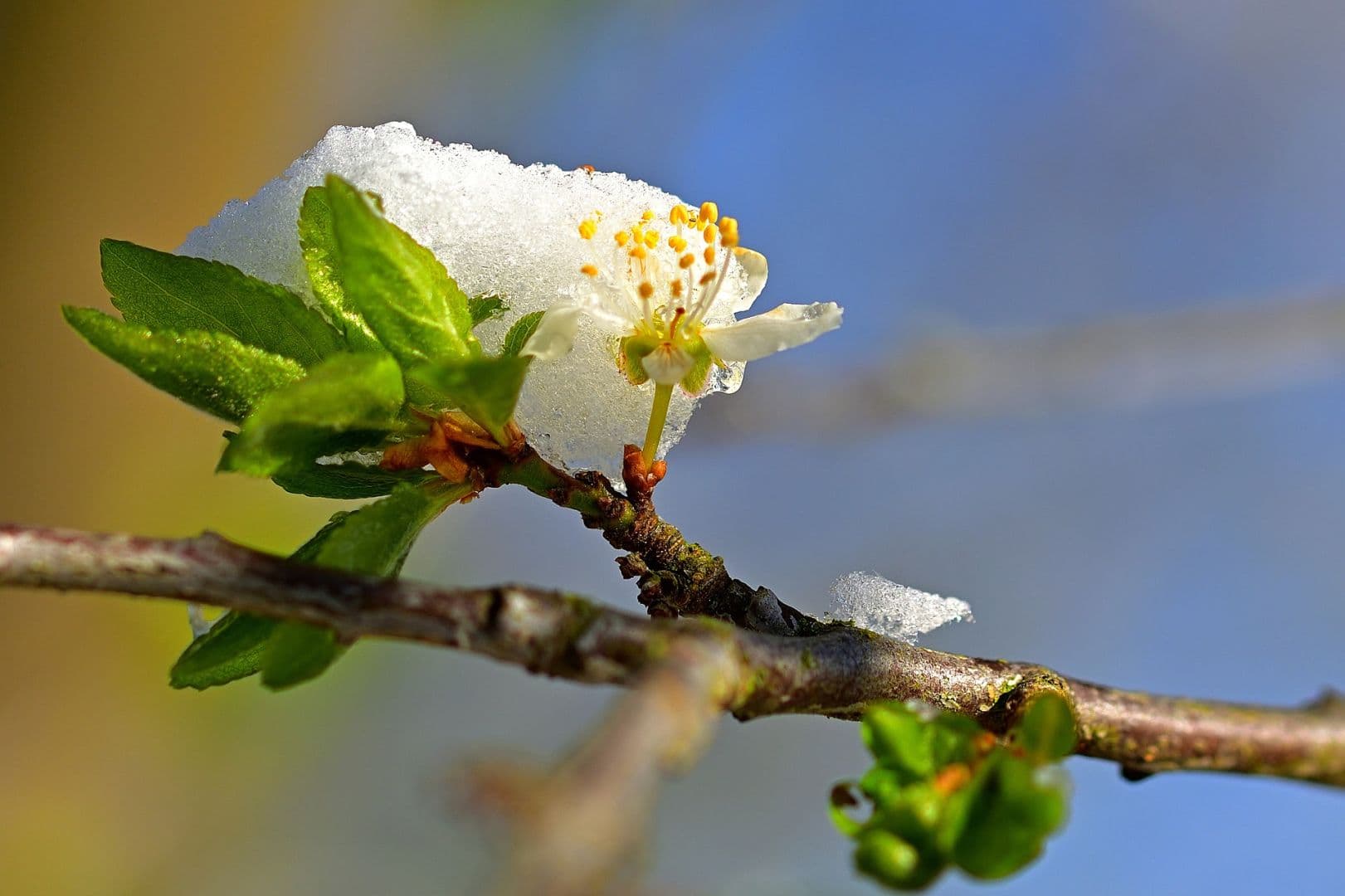 Vom Sommer in den Winter: Wochenstart mit Temperatursturz und Schnee