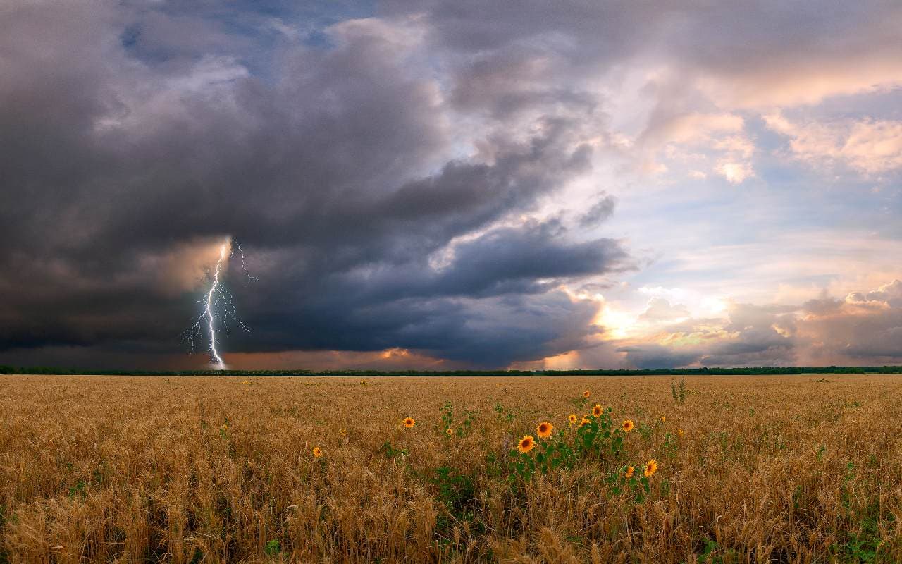 Regional kräftige Gewitter