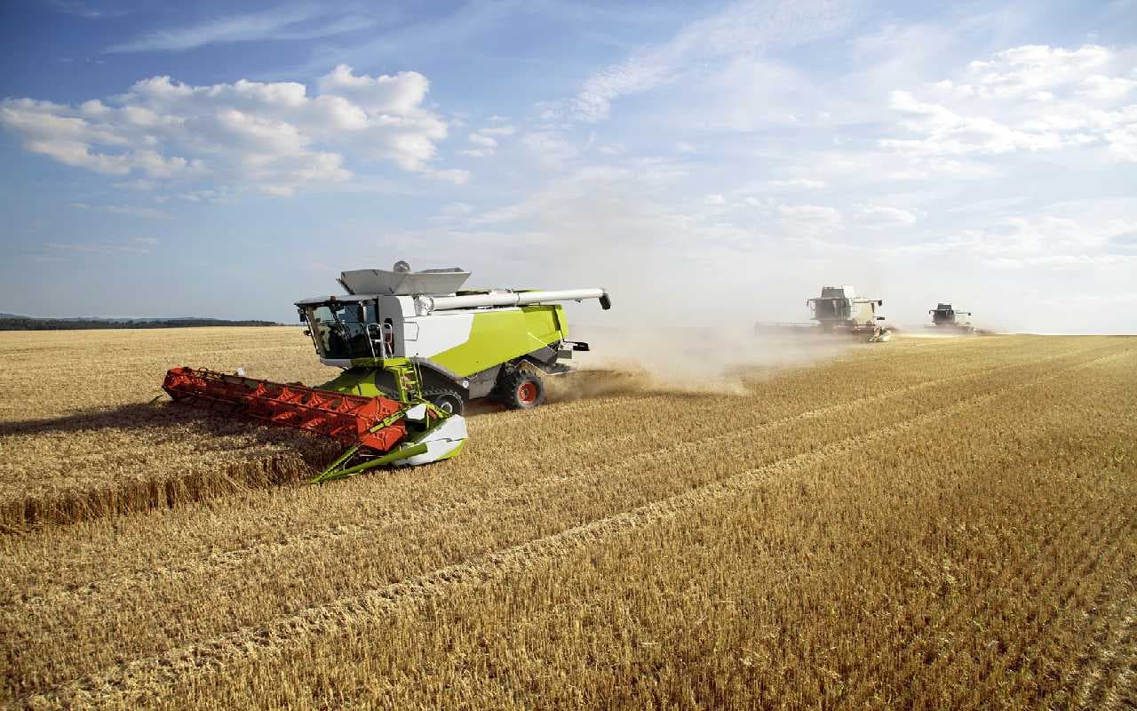 Große Temperaturkontraste in der neuen Woche