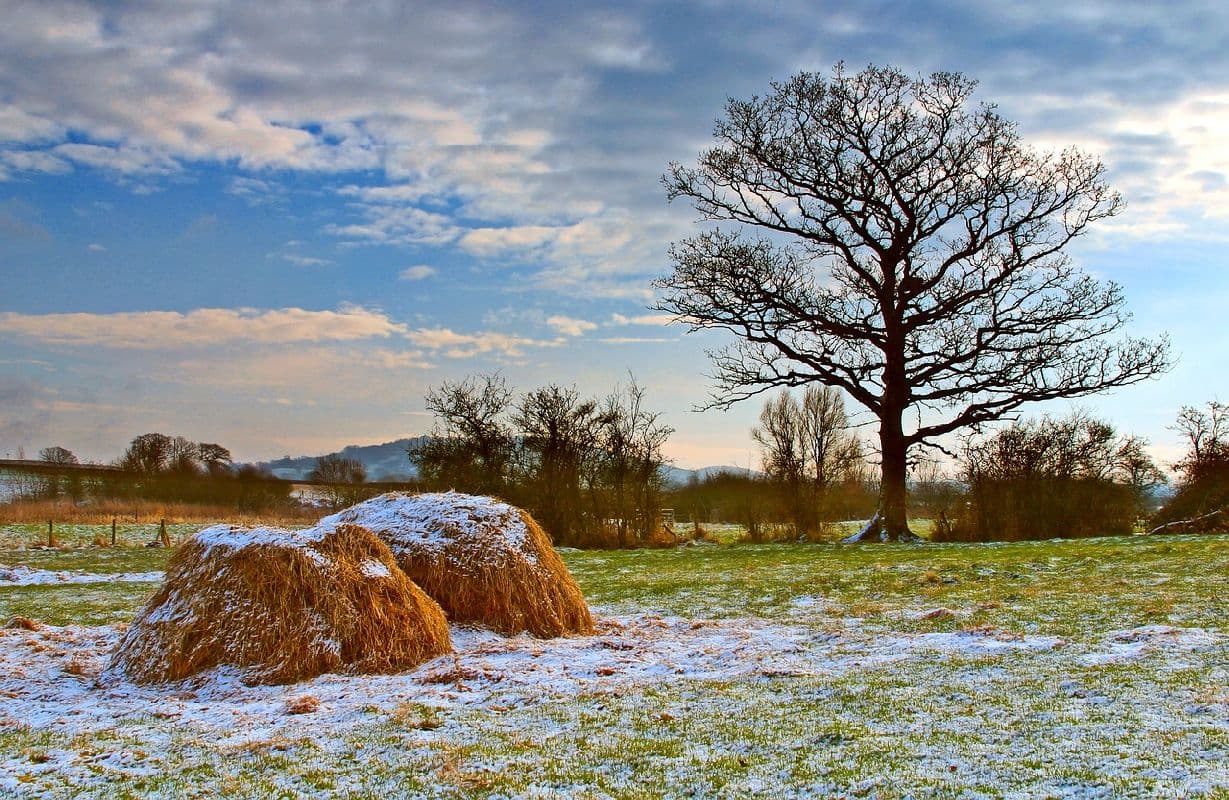  Nach frostiger Nacht oft sonnig 