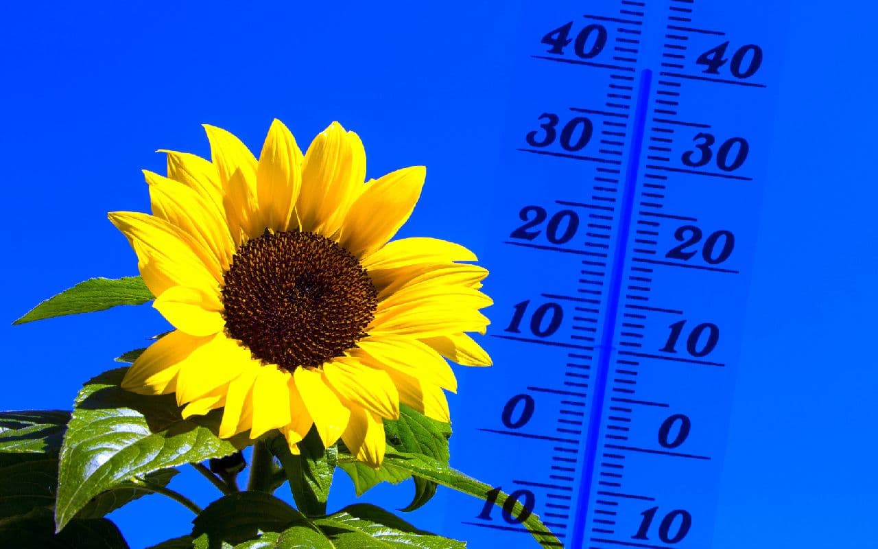 Luftdruck und Temperaturen steigen wieder  nächste Mini-Hitzephase steht an