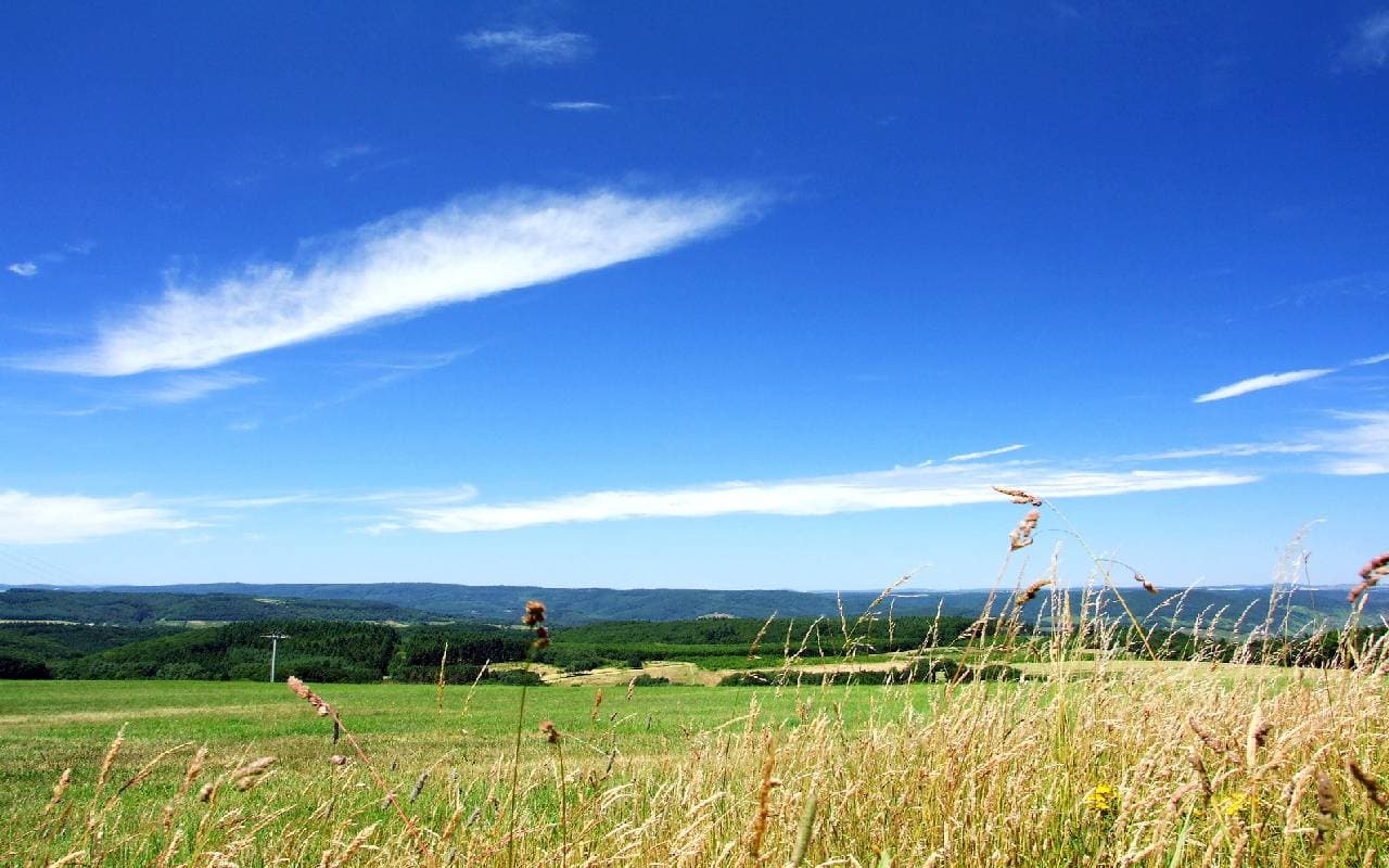 Im Nordosten Wolken, sonst sonnig