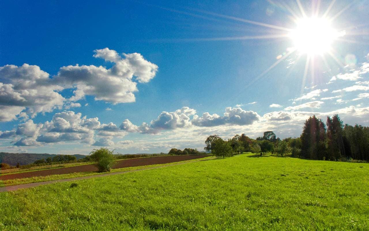Sommerlicher Samstag