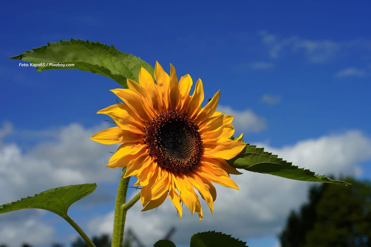 Please: Don´t shoot the messenger! Spätsommer fällt aus - Vollherbst ist angekommen...