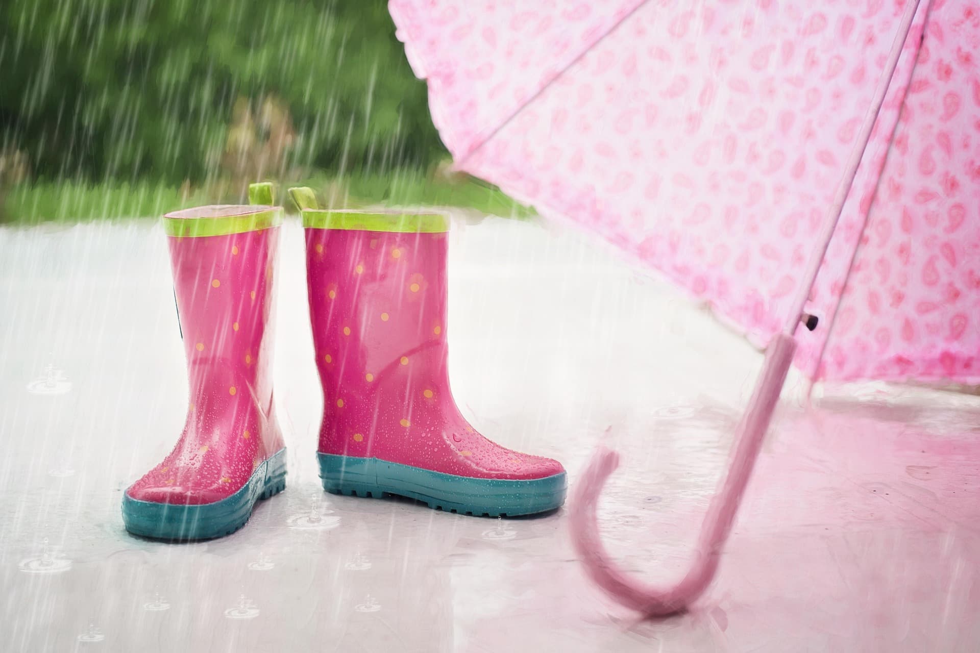 Wetter im Griff  warum kleine Begleiter große Wirkung zeigen können
