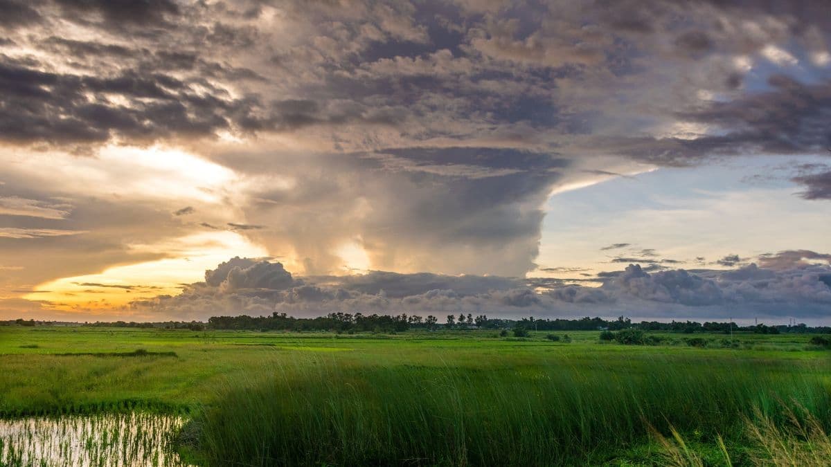 Kräftige Schauer und Gewitter bringen vorübergehend leichte Abkühlung