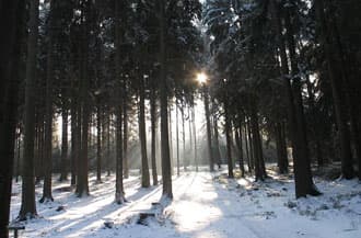 Wo kommt der Schnee?