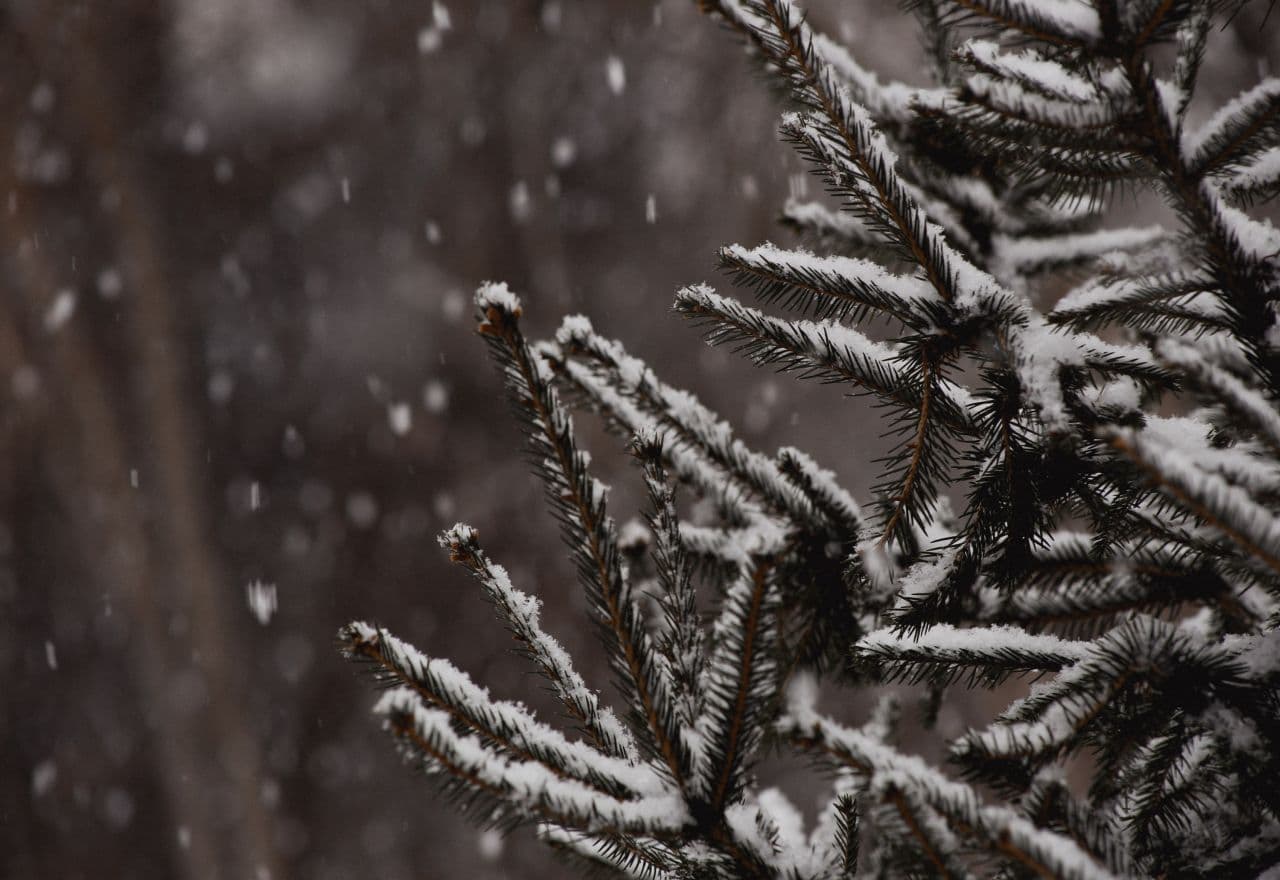 Winter is coming: Die besten Indoor-Beschäftigungen für die kalte Jahreszeit