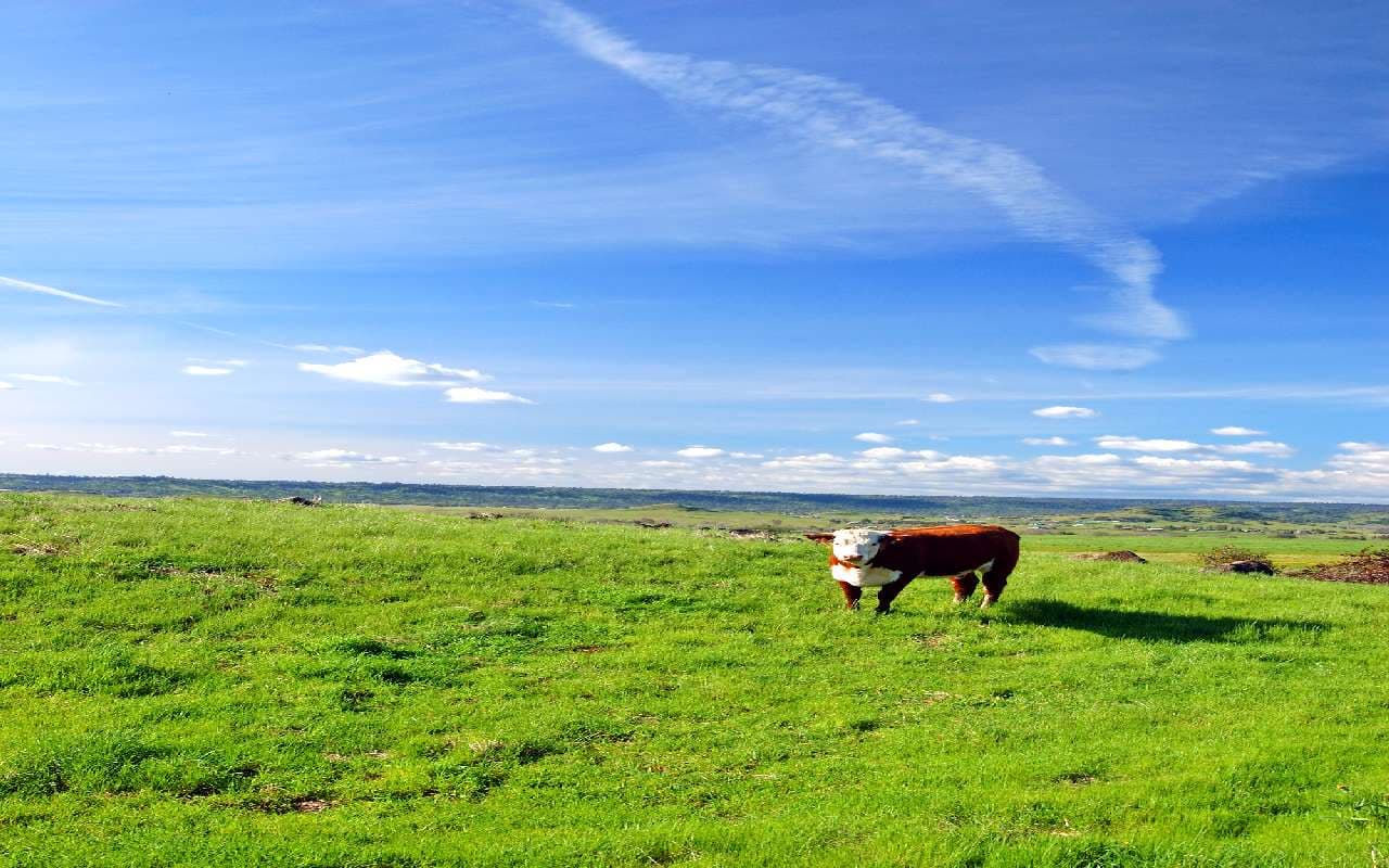 Erneut sonnig und sommerlich warm