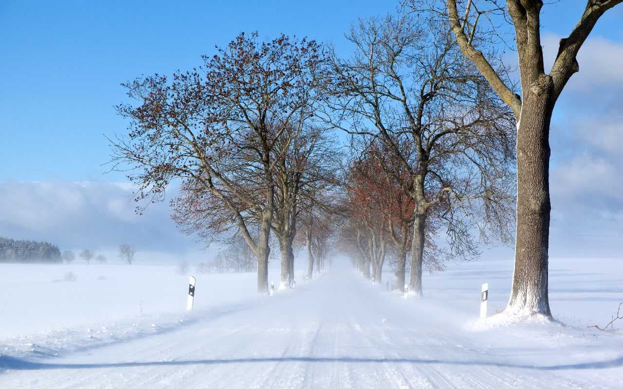 Wintervorhersage: Kältepeitsche Anfang Dezember?