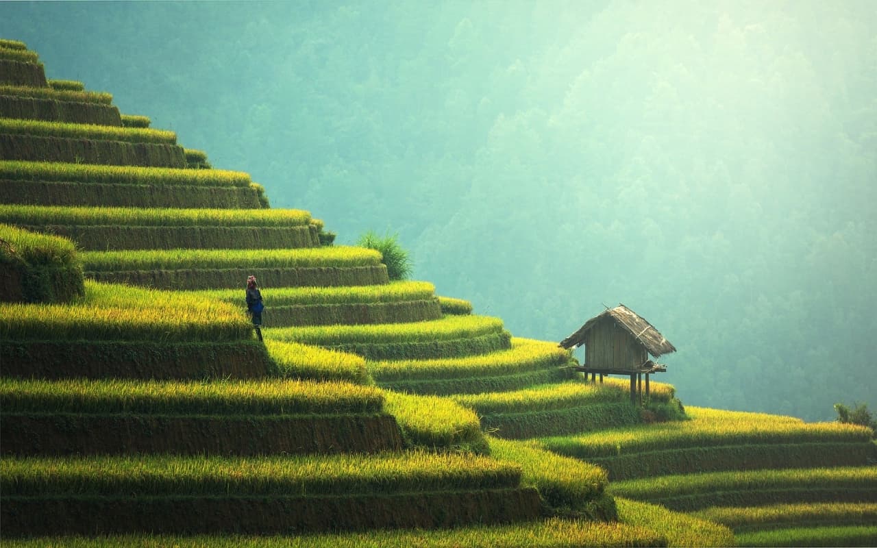  Wann ist die beste Reisezeit für Thailand und was muss bei der Urlaubsvorbereitung beachtet werden?