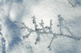 Sieht jede Schneeflocke anders aus?