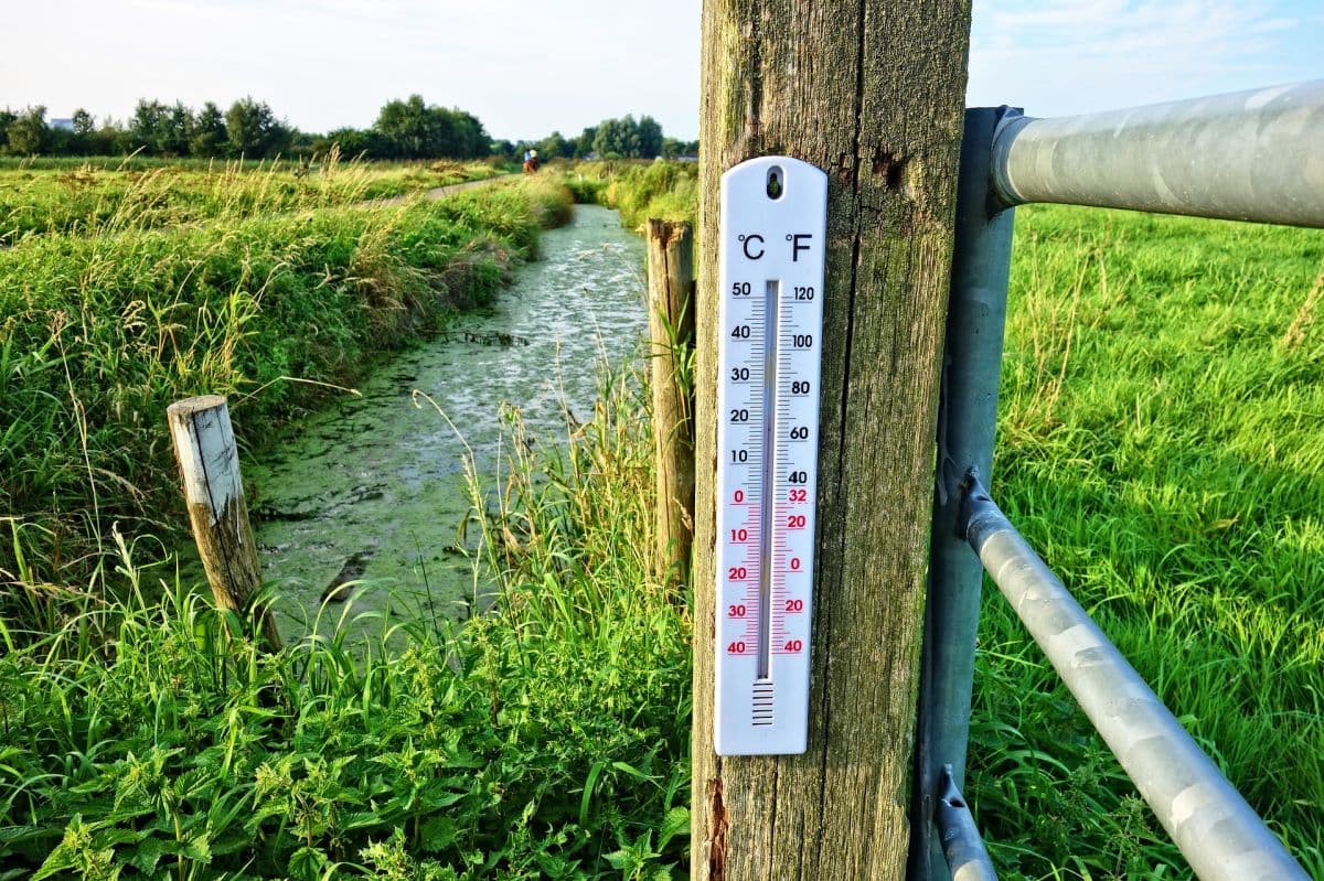  18 Grad - närrischer Februar-Auftakt! 