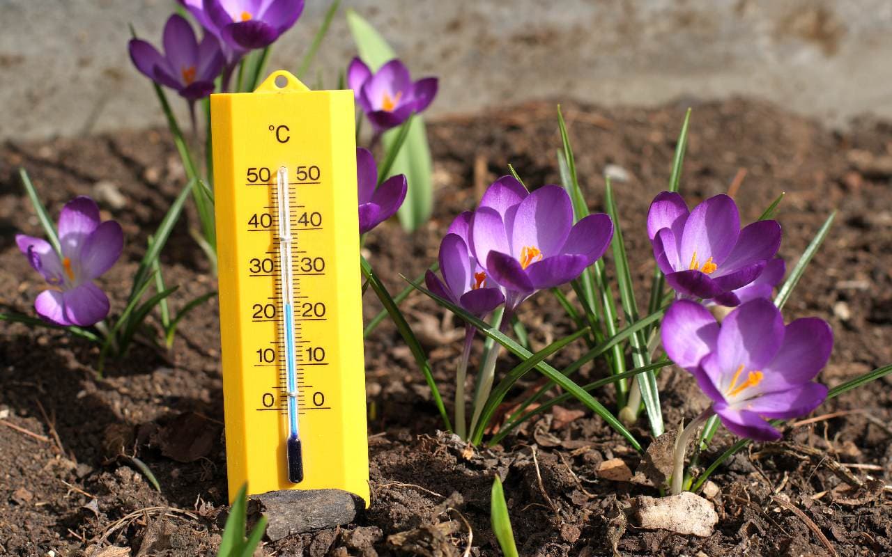  Allmähliches Frühlingserwachen dank Hoch Helge 